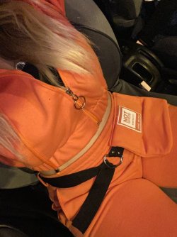 14AA7FEC-64A5-4D11-BB57-2870E78A2205.jpeg