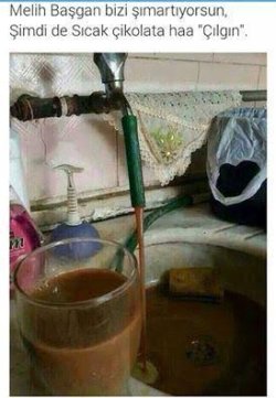 images.jpeg-39.jpg